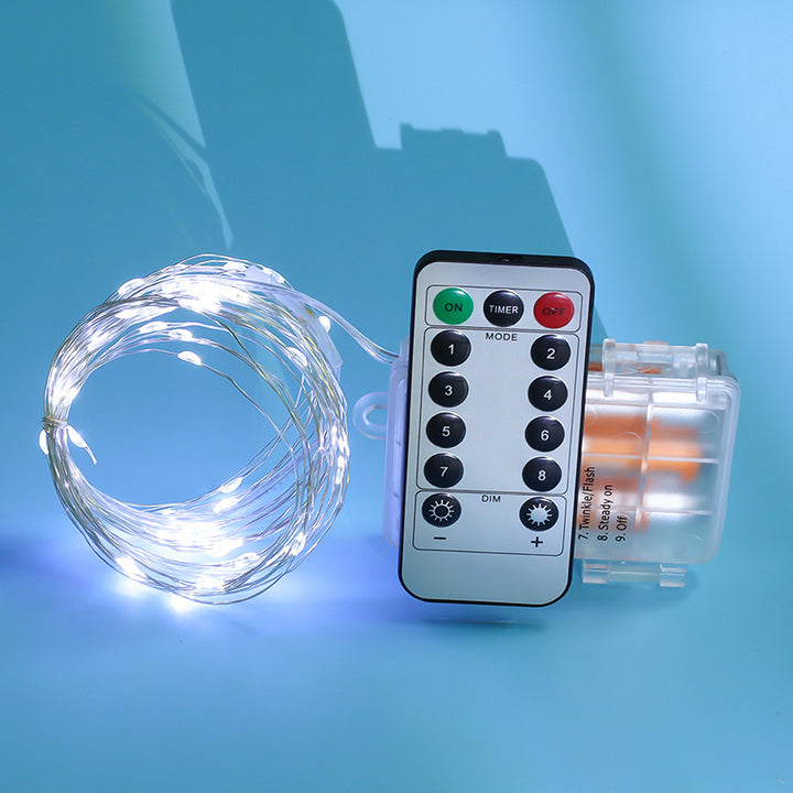 LED Copper Wire String Lights with Remote Control
