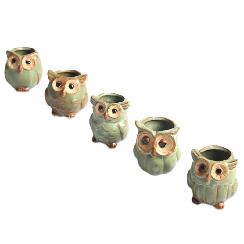 Stornfield Modern Decorative Owl Design Flower Pot