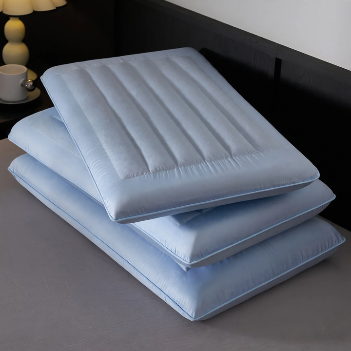 Buckwheat Hull Filling Pillow