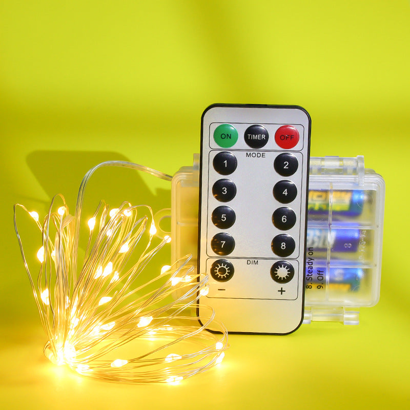 LED Copper Wire String Lights with Remote Control