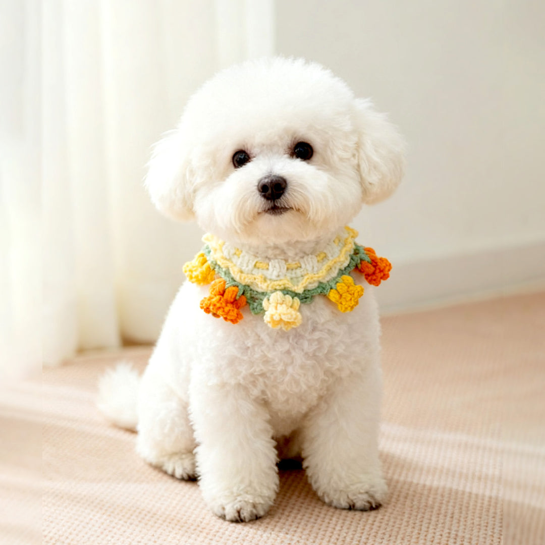 Hand-knitted collar with floral pattern for pets