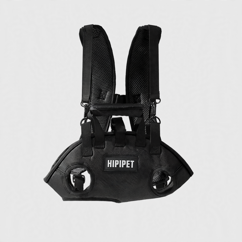 Pet backpack with shoulder strap, PC material