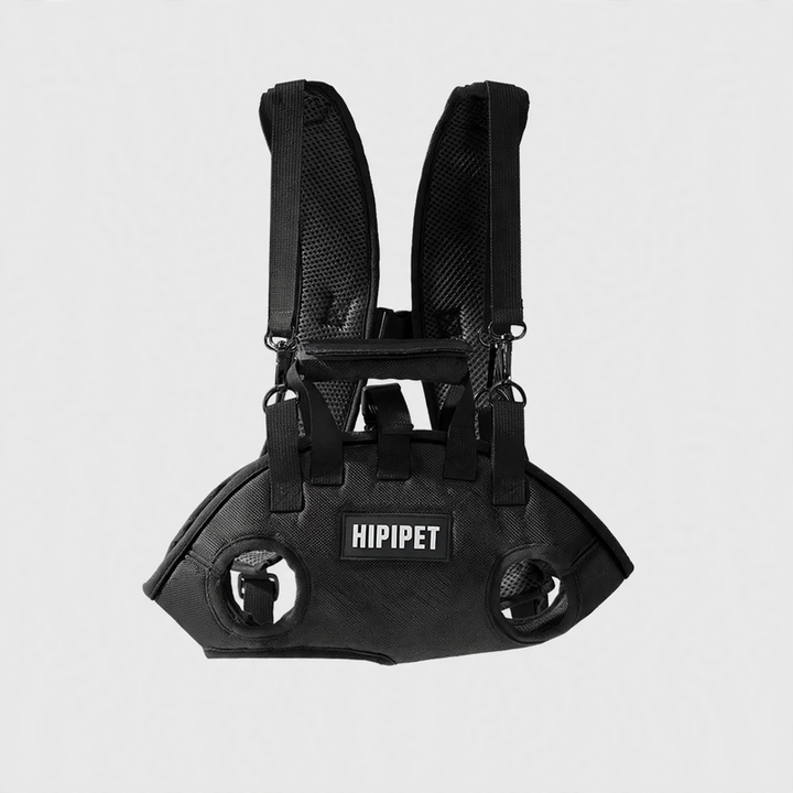 Pet backpack with shoulder strap, PC material