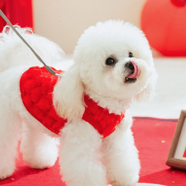 Festive fleece dog coat with lion motif