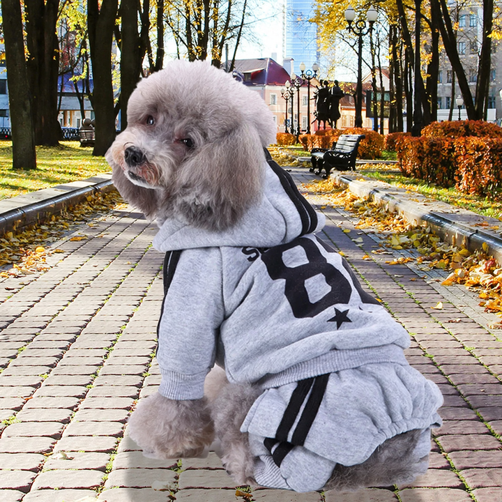 Hooded sweatshirt for dogs, autumn and winter