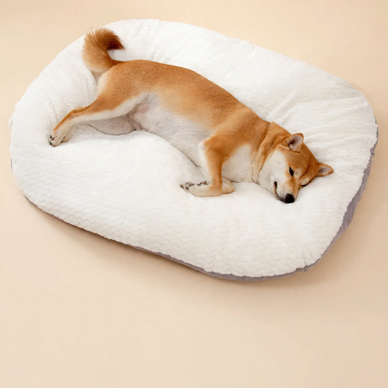 Dog bed, washable, S–XL, warming