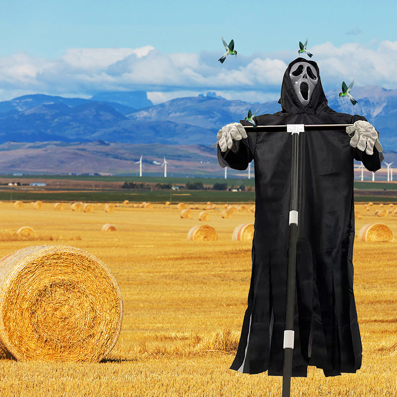 Stornfield | Scarecrow Scream