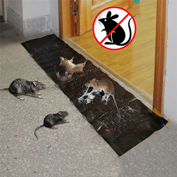 Sense Mouse Trap | Stornfield