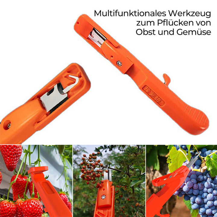Efficient Pepper Picking Tools | Stornfield