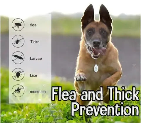 Stornfield | Ultrasound Tick PRedection – Chemical-Free Defense