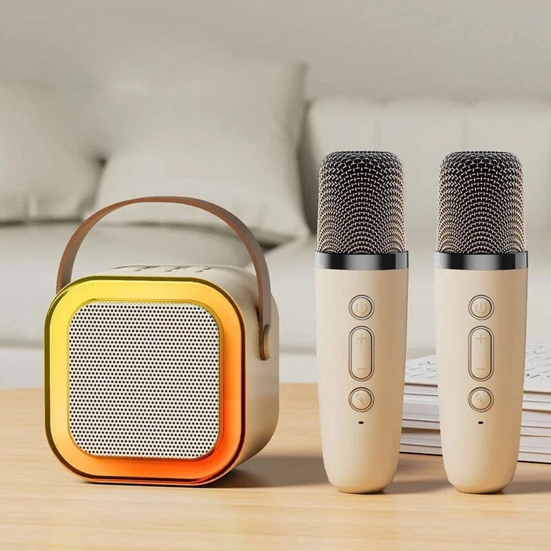 Mini Karaoke Machine with wireless microphones | Stornfield