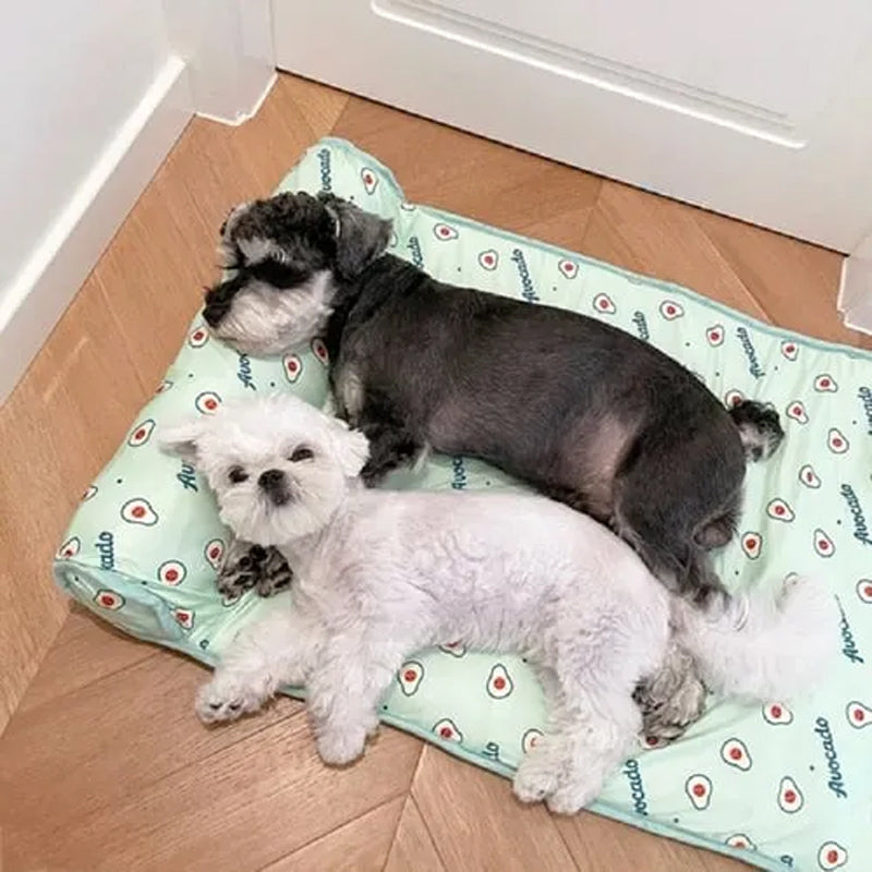 Cooling mat in ice silk for dogs and cats | Stornfield