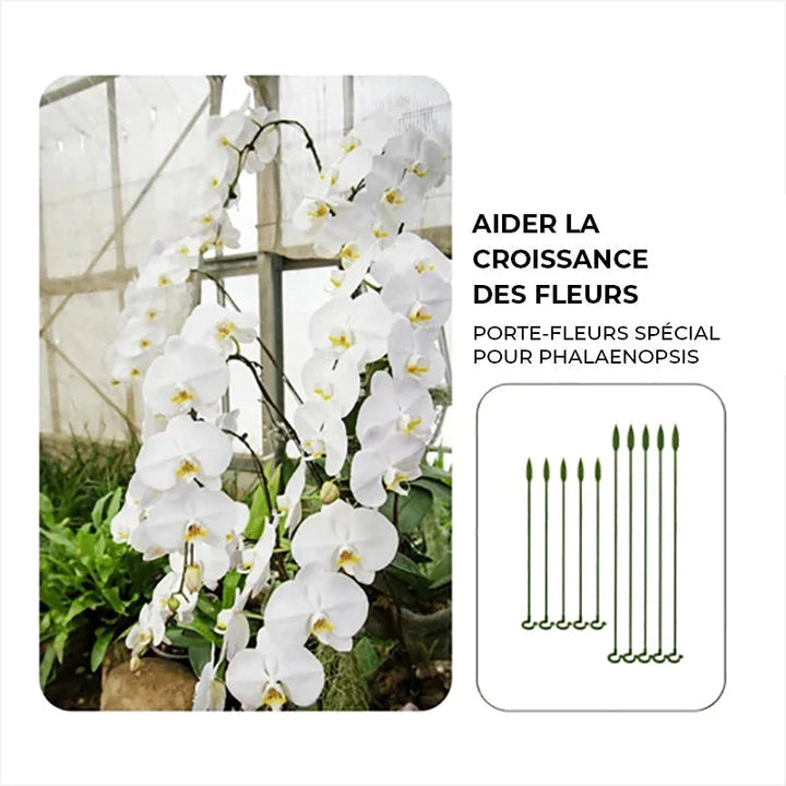Plant support pole | Stornfield