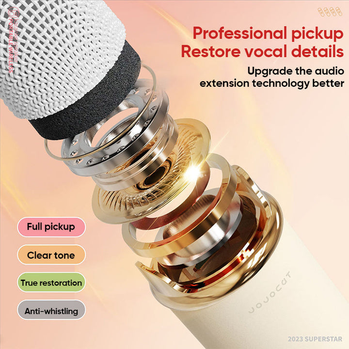 Portable Bluetooth speaker with wireless microphone | Stornfield