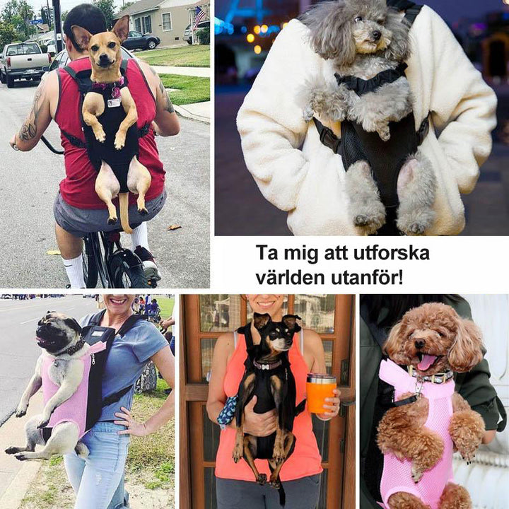 Stornfield | Front Pet Backpack