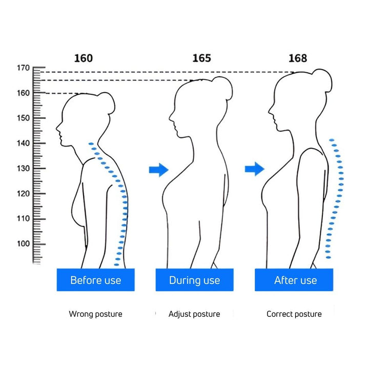 HealthPost 3-in-1 Back Posture Corrector | Adjustable Back Support for Office, Sports & Everyday | Upper & Lower Back | Stornfield