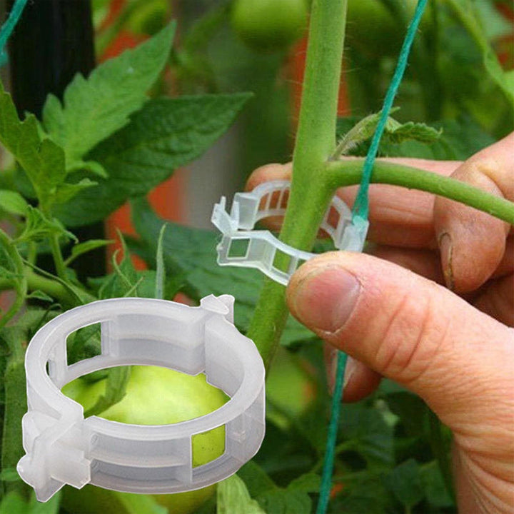 Practical Plant Support Clip | Stornfield