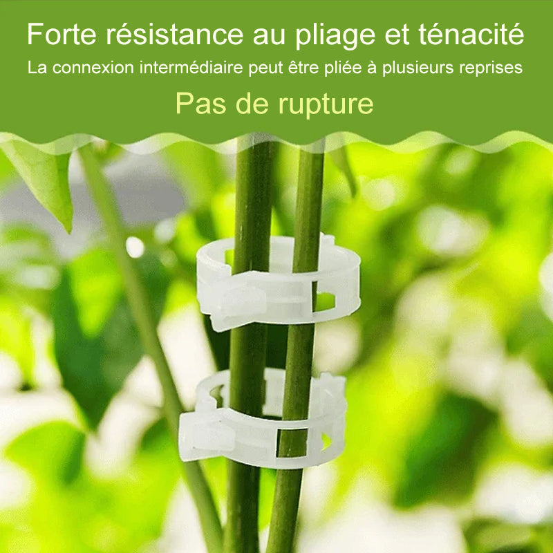 Plant support clips | Stornfield