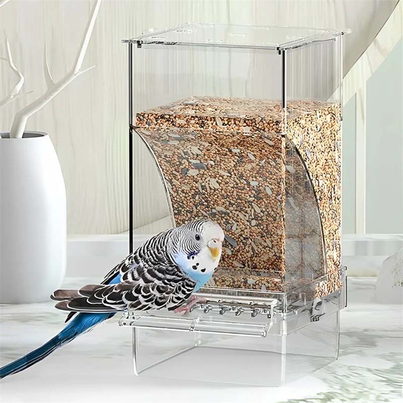 Automatic overflow protection Transparent bird feeder | Stornfield