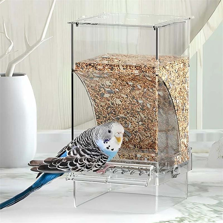 Automatic overflow protection Transparent bird feeder | Stornfield