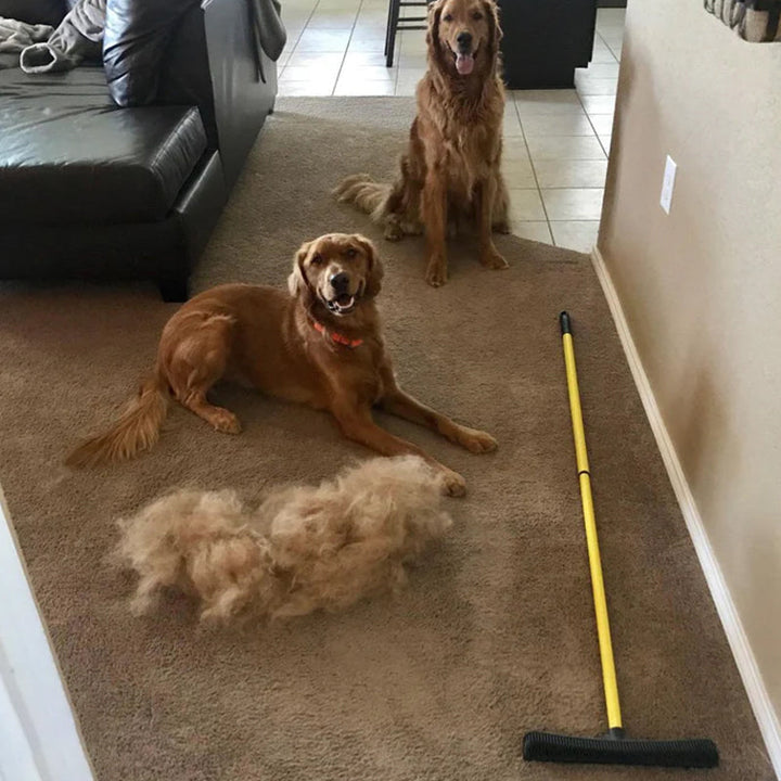Pet Hair Removal Broom | Stornfield