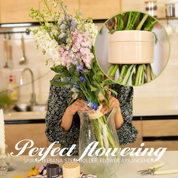 Spiral Ikebana Stem Holder | Stornfield