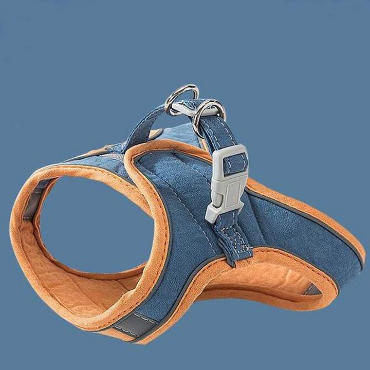 Harness and Leash Set for Cat | Stornfield