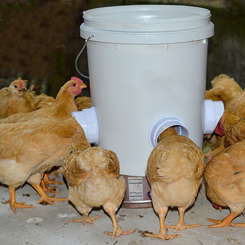 Stornfield | DIY Chicken Feeder