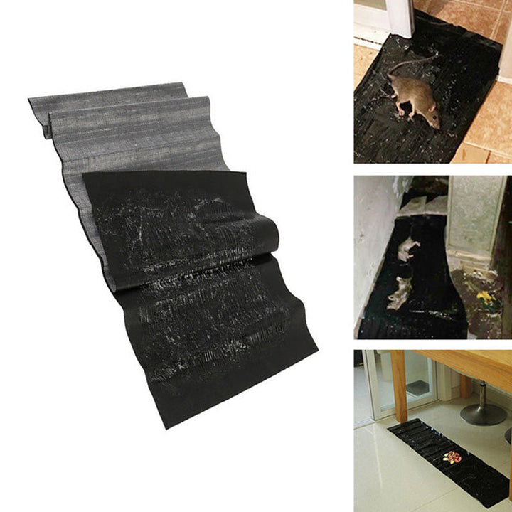 Sense Mouse Trap | Stornfield