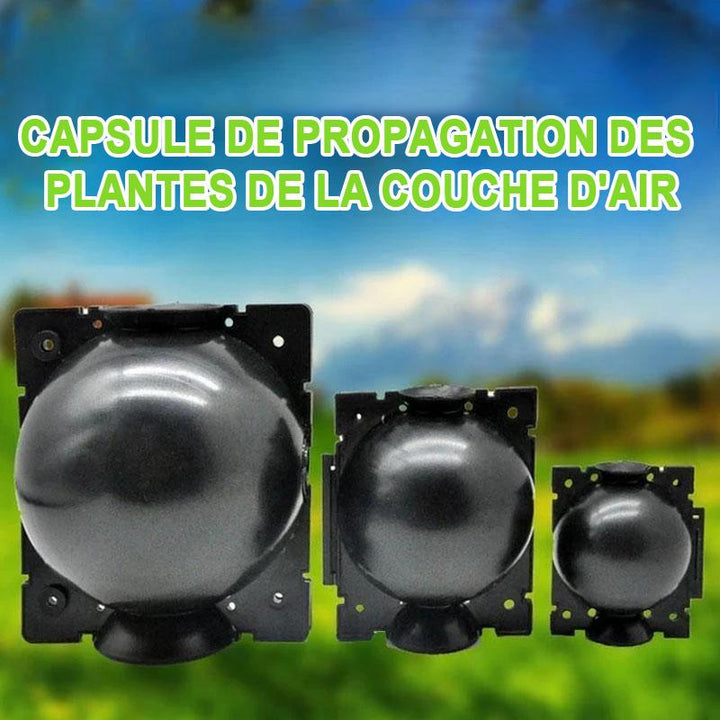 Air Layer Plant Propagation Capsule | Stornfield