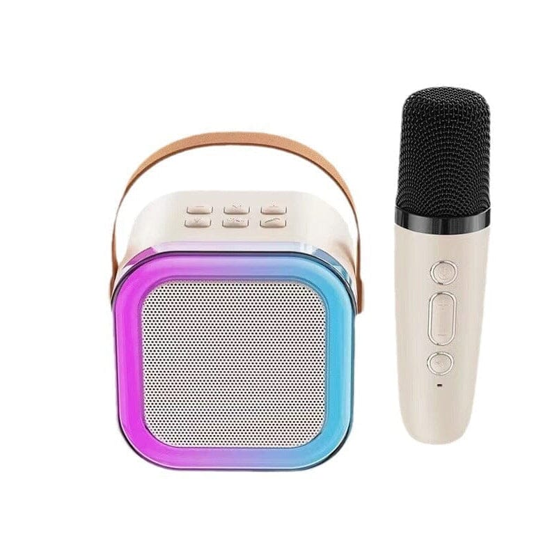 Mini Karaoke Machine with wireless microphones | Stornfield