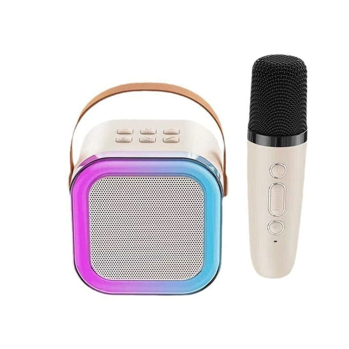 Mini Karaoke Machine with wireless microphones | Stornfield