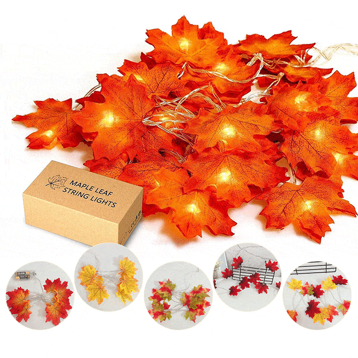 Thanksgiving Décor Fall Maple Leaf String Lights | Stornfield
