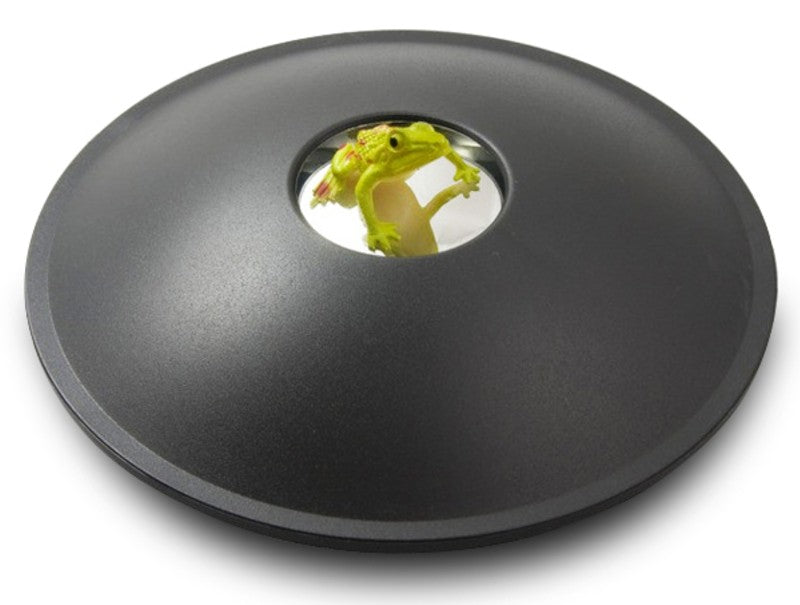 Stornfield | 3D Hologram Image Toy, Optical Projection & Visual Illusion, Best Gift for Christmas, Thanksgiving & Holidays