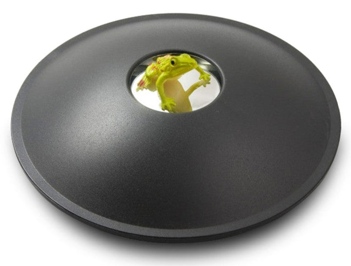 Stornfield | 3D Hologram Image Toy, Optical Projection & Visual Illusion, Best Gift for Christmas, Thanksgiving & Holidays