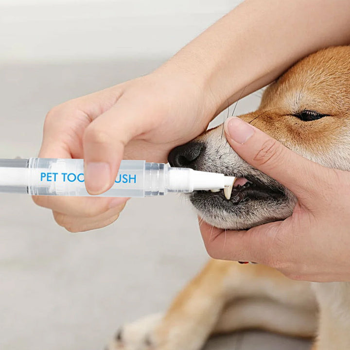 New improved toothbrush pen for pets | Stornfield