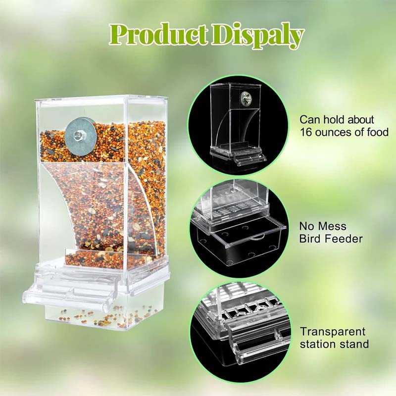 Automatic overflow protection Transparent bird feeder | Stornfield
