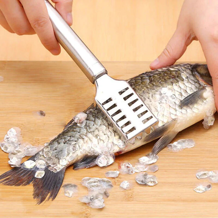 Fish Scale Remover Stainless Steel Stornfield