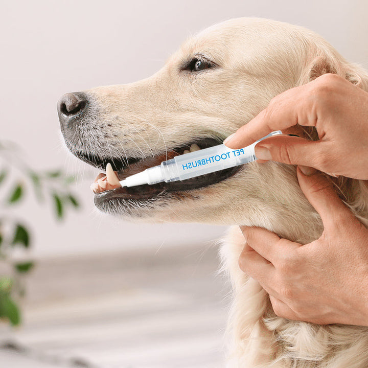 New improved toothbrush pen for pets | Stornfield