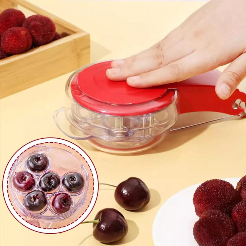 Cherry Pitter Tool | Stornfield