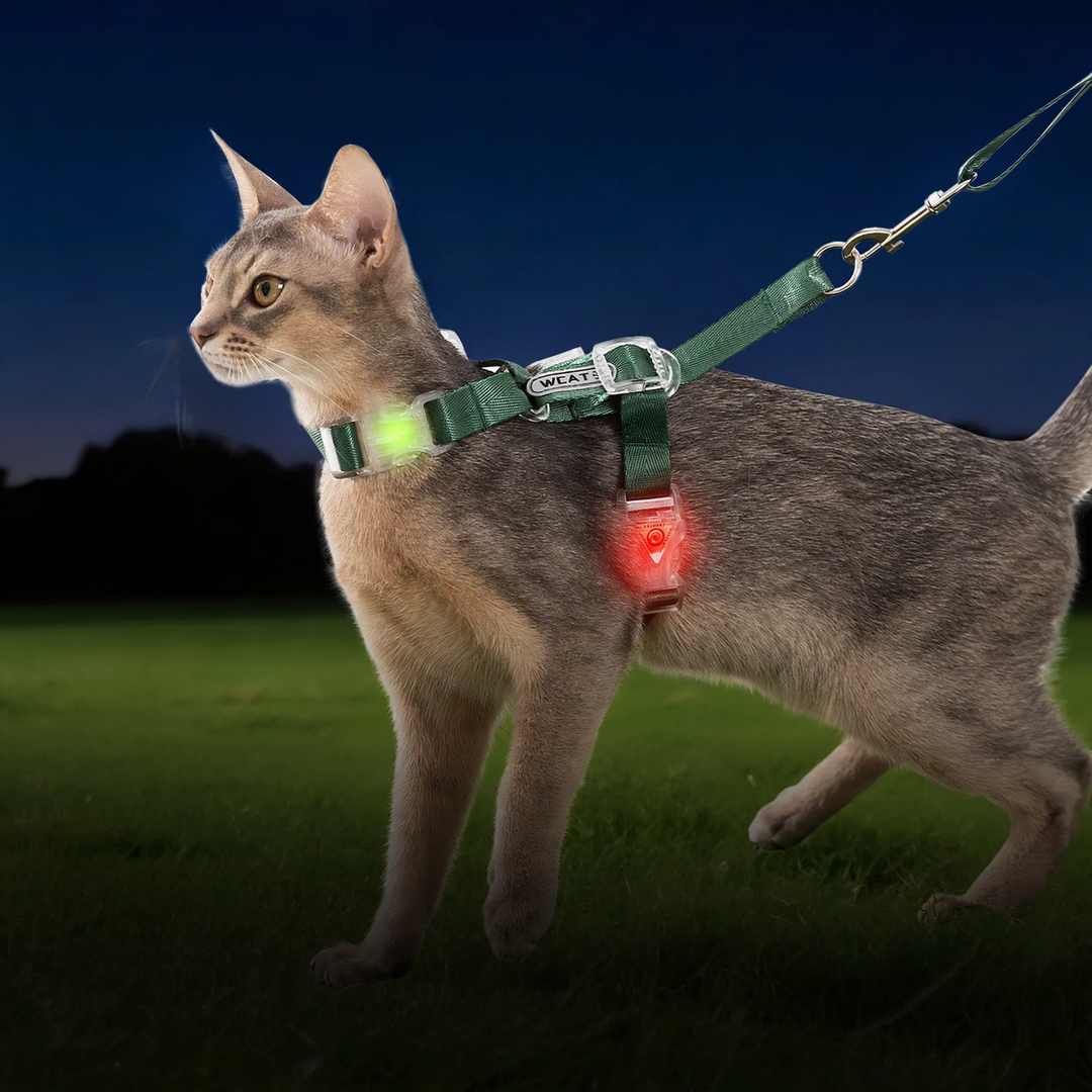 Cat Chest Harness, Polyester, with Light Version