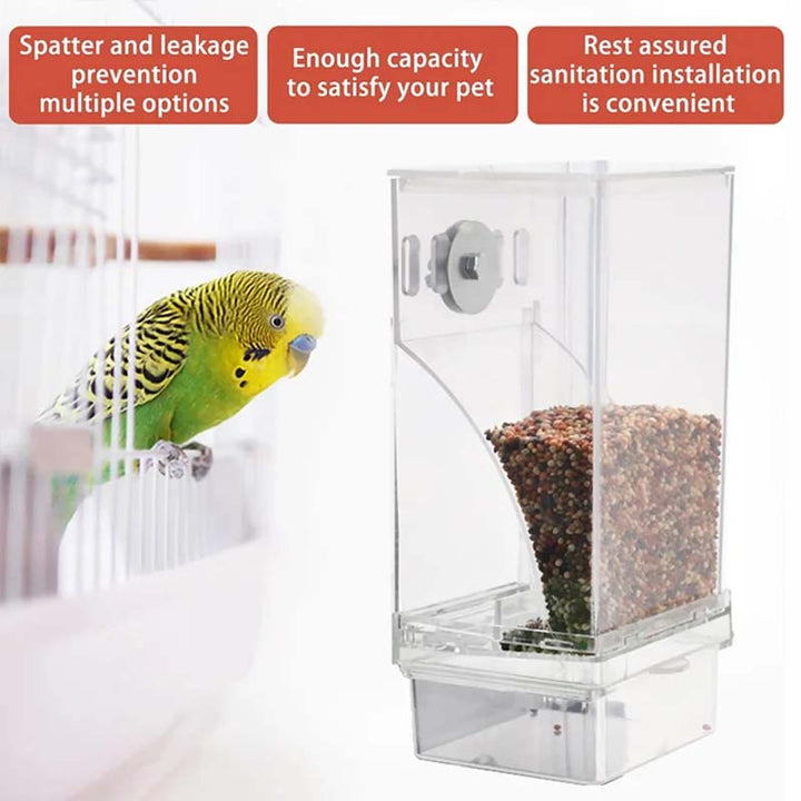 Automatic overflow protection Transparent bird feeder | Stornfield