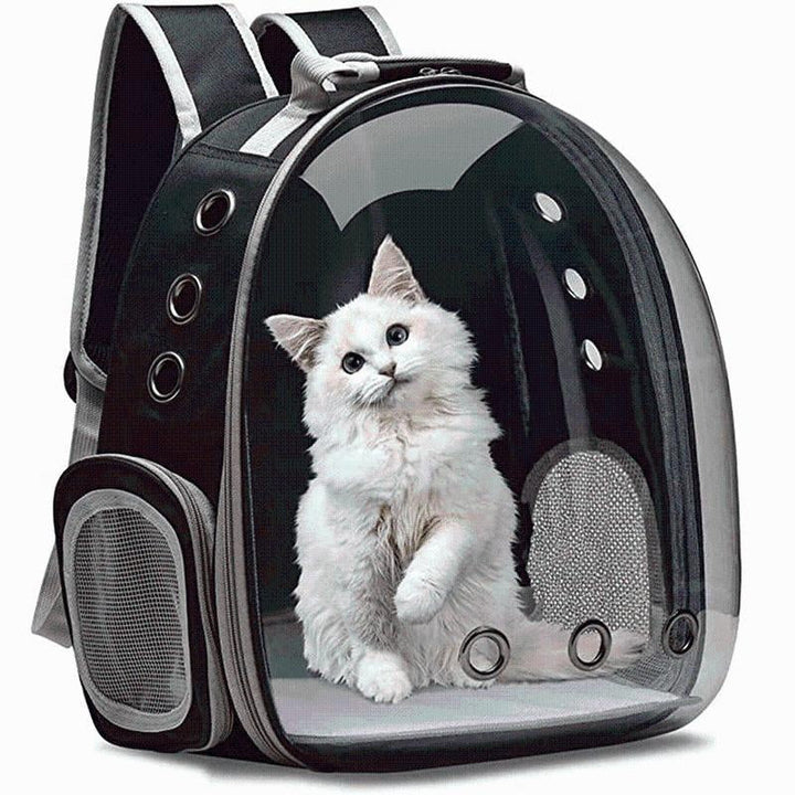 Cat Breathable Backpack | Stornfield