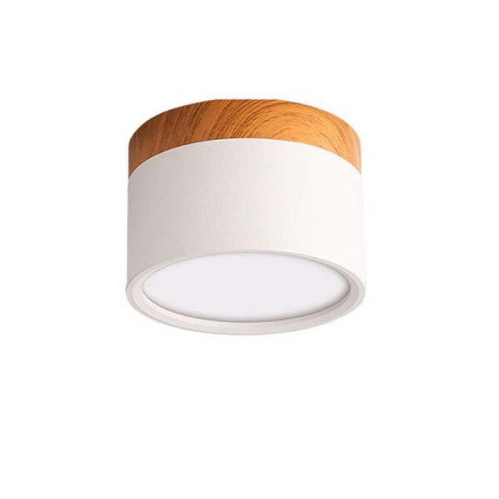 Morandi Style Modern LED Ceiling Lamp - LumiModo | Stornfield