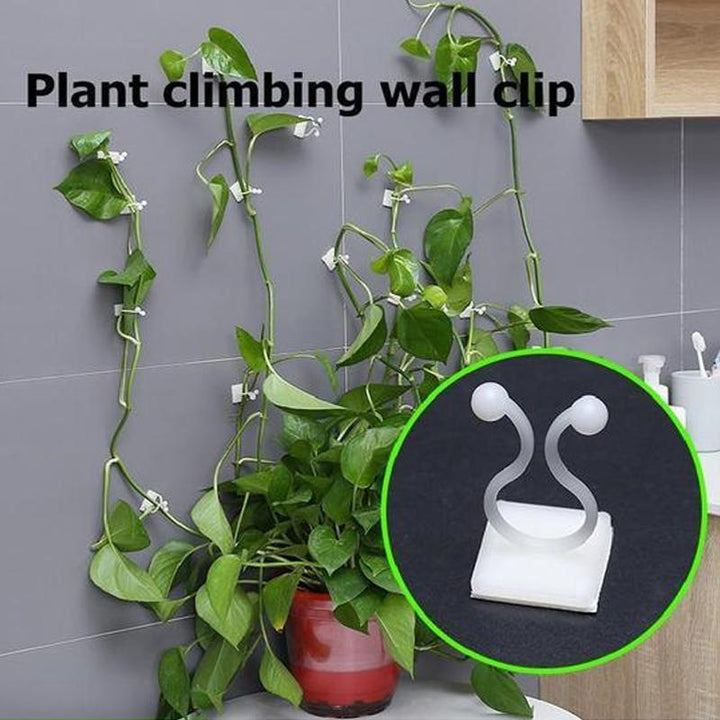 Wall Clips for Climbing Plants (30 pieces) | Stornfield