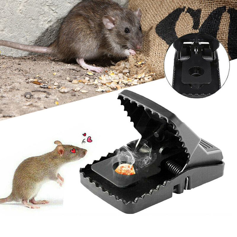 Reusable Traps Rat Catching | Stornfield