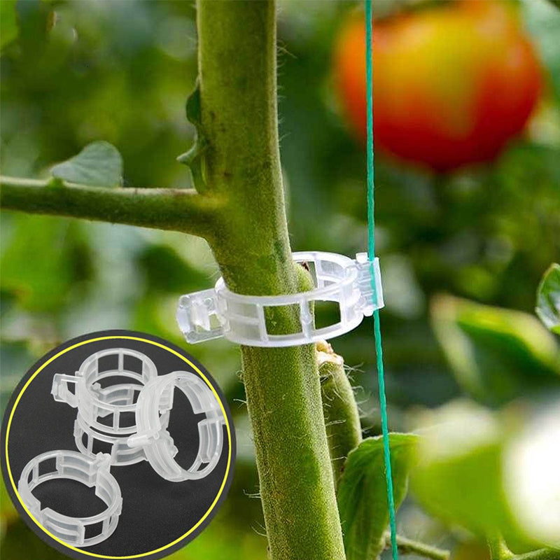 Plastic ring for holding plants | Stornfield
