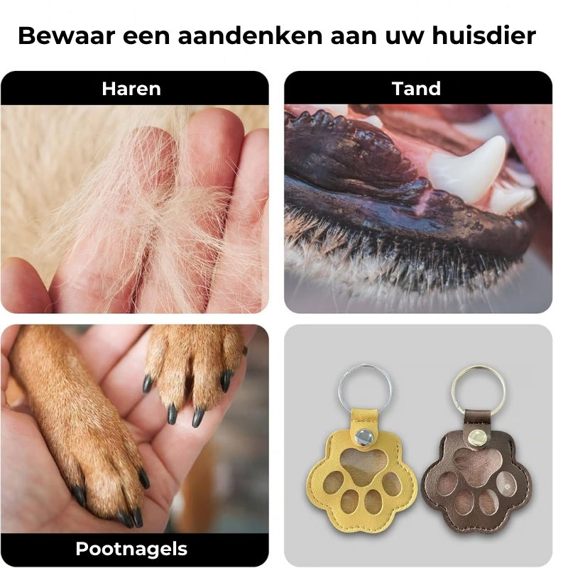 PawMemorie keychain – memorial pendant with paw print and inner compartment | Stornfield