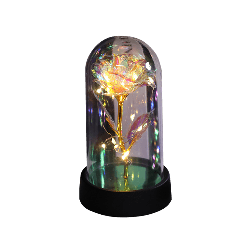 Rose in Glass Dome Display | Stornfield