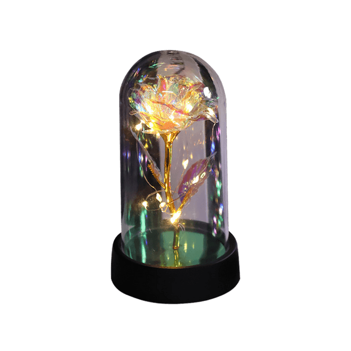 Rose in Glass Dome Display | Stornfield